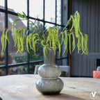 Lindi Elite vaas Ø22 cm, grijs glas met luchtbellen, Vase The World