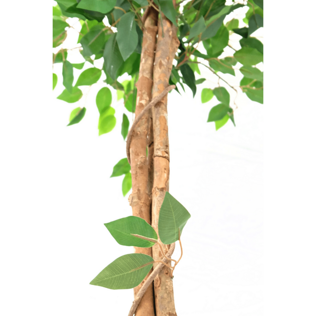 Kunst Ficus 150 cm, Groen (Ficus Benjamina)