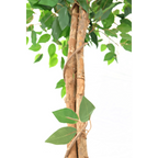 Kunst Ficus 150 cm, Groen (Ficus Benjamina)