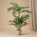 Palm Phoenix - 90Cm – Artificial Plant